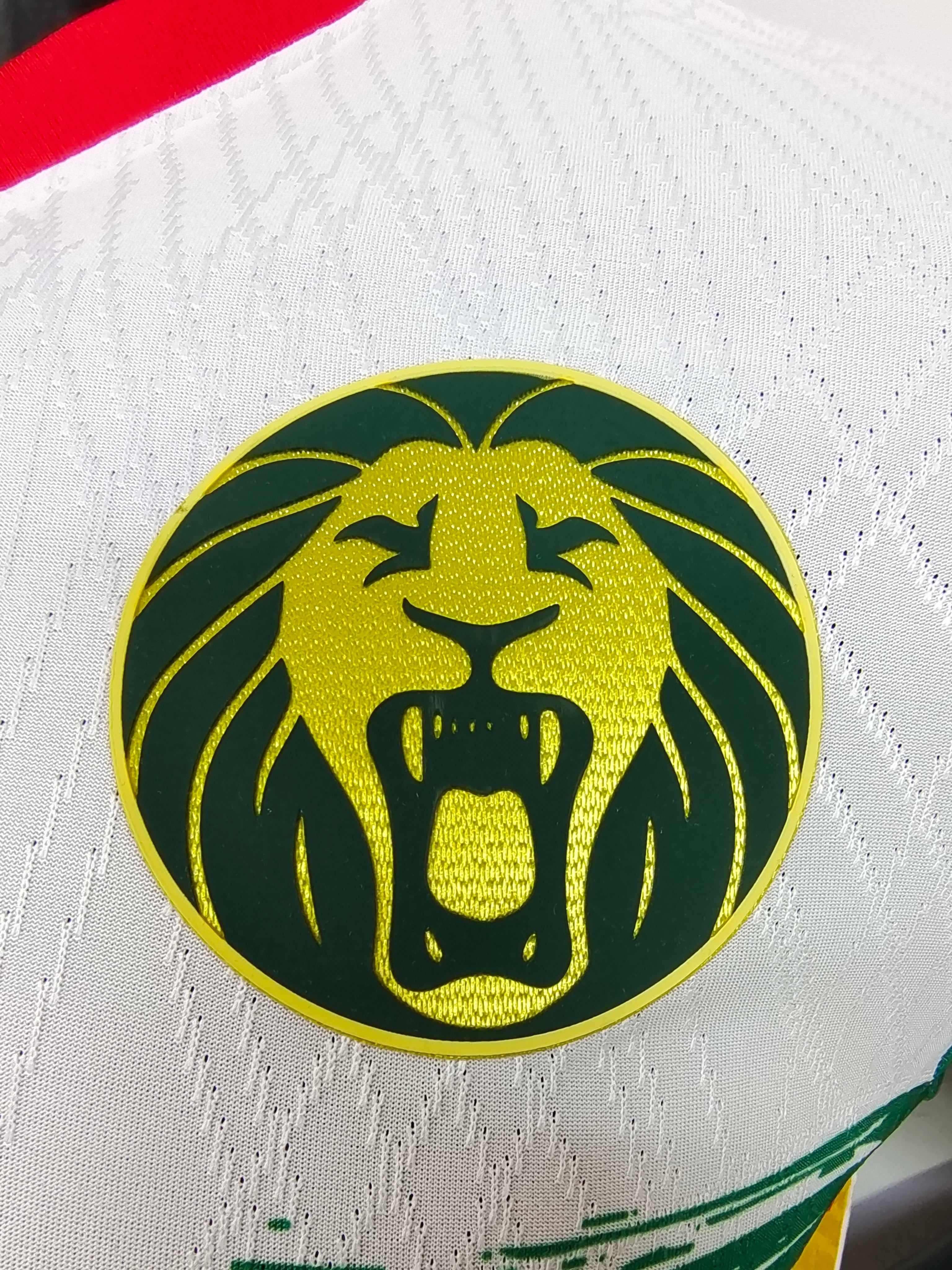 Cameroon Third World Cup Jersey 2026