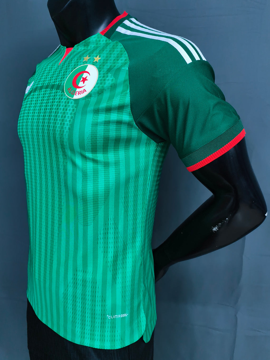 Algeria Away World Cup Jersey 2026