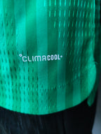 Algeria Away World Cup Jersey 2026